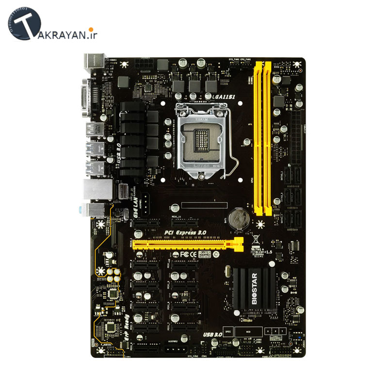 BIOSTAR TB250-BTC PRO Mainboard